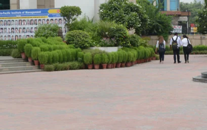 Top reasons you should do your PGDM in international business from Asia-Pacific Institute of Management