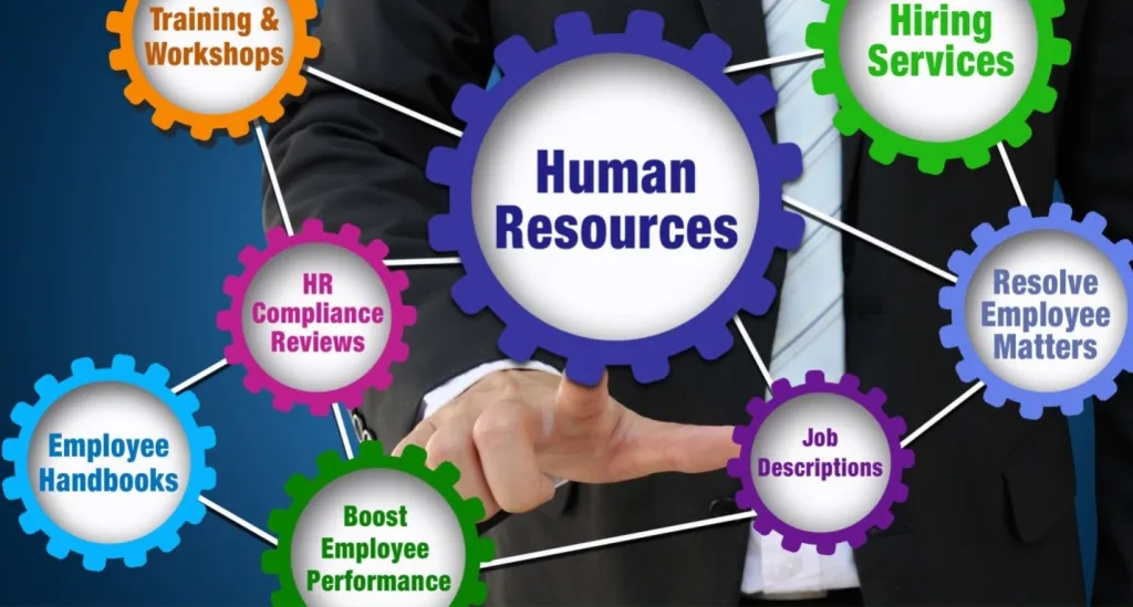 Organizational Behavior and Human Resource Management: Meaning, Differences, Career Scope & Salary Guide (2026)