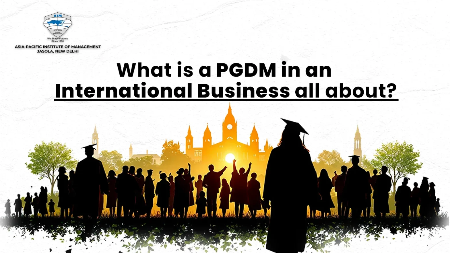 What is a PGDM in international business all about?